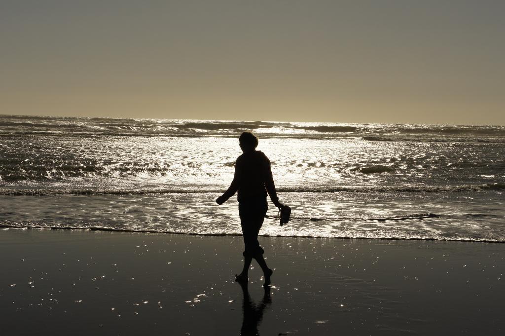 Port Waikato Holiday Park ภายนอก รูปภาพ